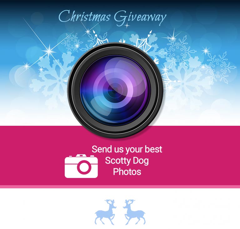 Christmas Fanpage Giveaway 2015