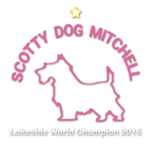 Scotty Dog Mitchell Logo